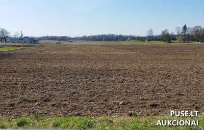 Valstybinės žemės sklypo aukcionas Radviliškyje, Žironų g. 13A, pradinė kaina 54760 EUR