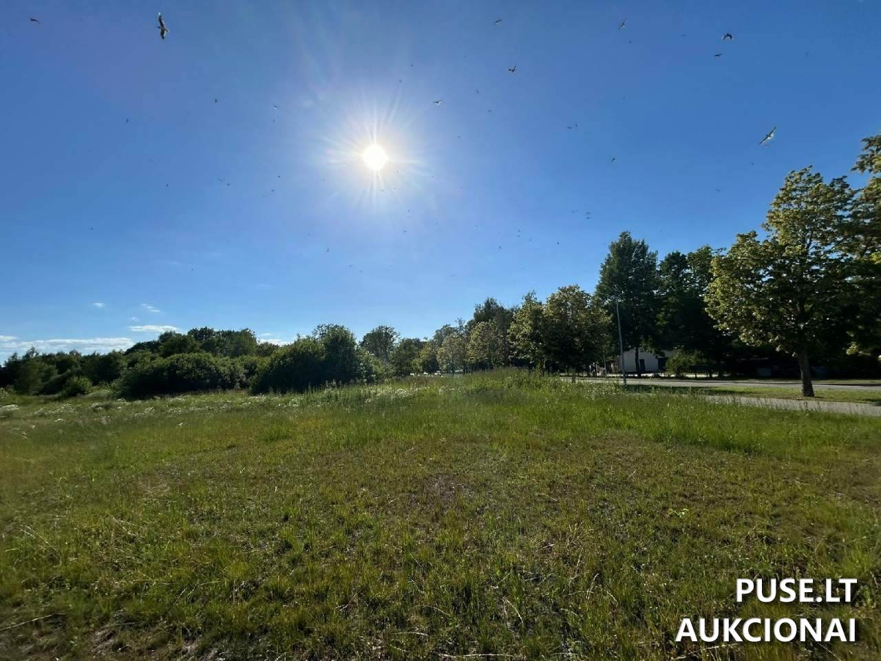 Žemės sklypas Sklypai Šiauliai, Šiauliai City Municipality, Lithuania 4