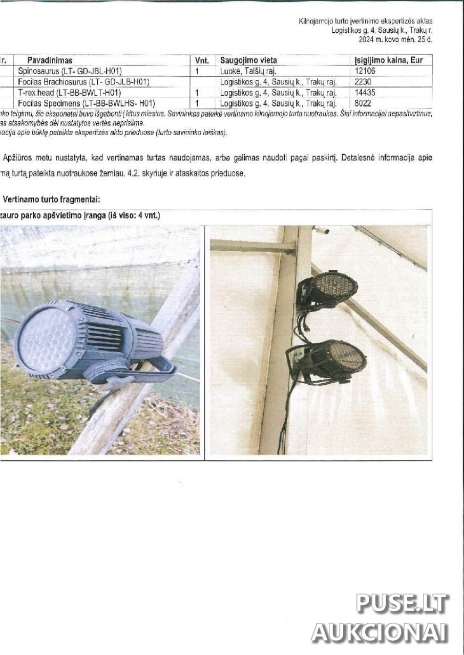 Dino parko įranga Kitas turtas 2