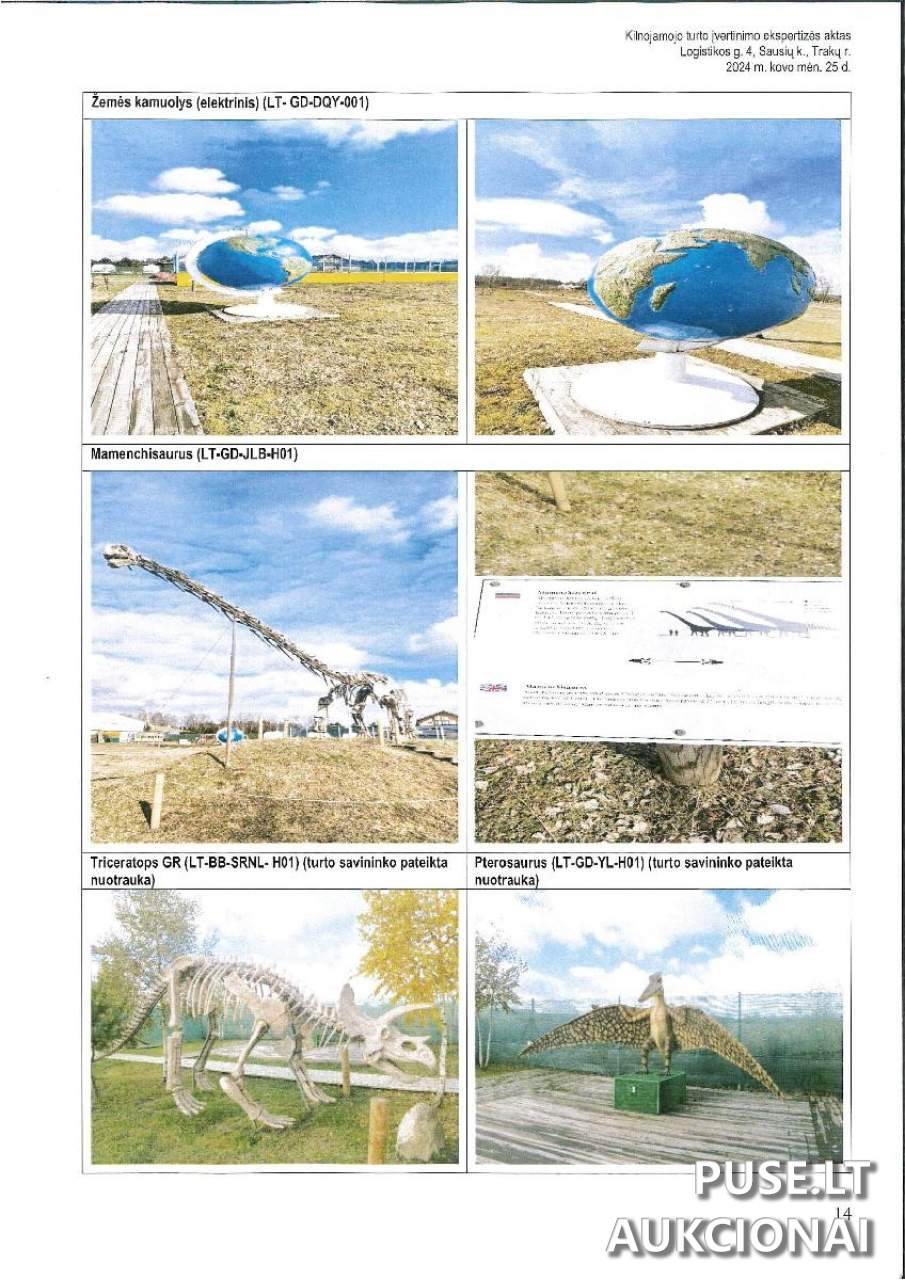 Dino parko įranga Kitas turtas 8