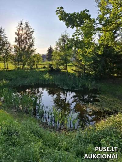 Valstybinės žemės sklypas Šakių r., Skaistakaimio k., Nemuno g. 14A, pradinė kaina 1353 EUR