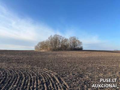 Žemės ūkio paskirties sklypas Marijampolės rajone, Šimulių k., pradinė kaina 128331 EUR