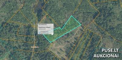 Parduodamas 1 ha miškas Ignalinos rajone, Nevaišių kaime, 800 EUR pradinė kaina