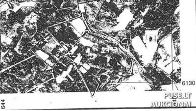 Parduodamas 9.90 ha žemės ūkio sklypas Ignalinos rajone, Nevaišių kaime, pradinė kaina 6400 EUR