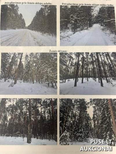 Žemės ūkio paskirties miškų sklypas Druskininkų savivaldybėje, Diržų kaime, 21.1519 ha ploto, pradinė kaina 78000 EUR