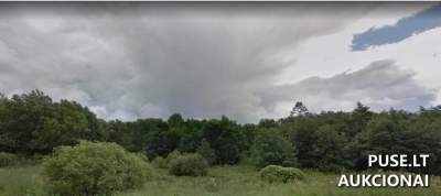 1.05 ha Žemės Ūkio Paskirties Sklypas Šilalės rajone - Mikulių KM, Pradinė Kaina 3600 EUR