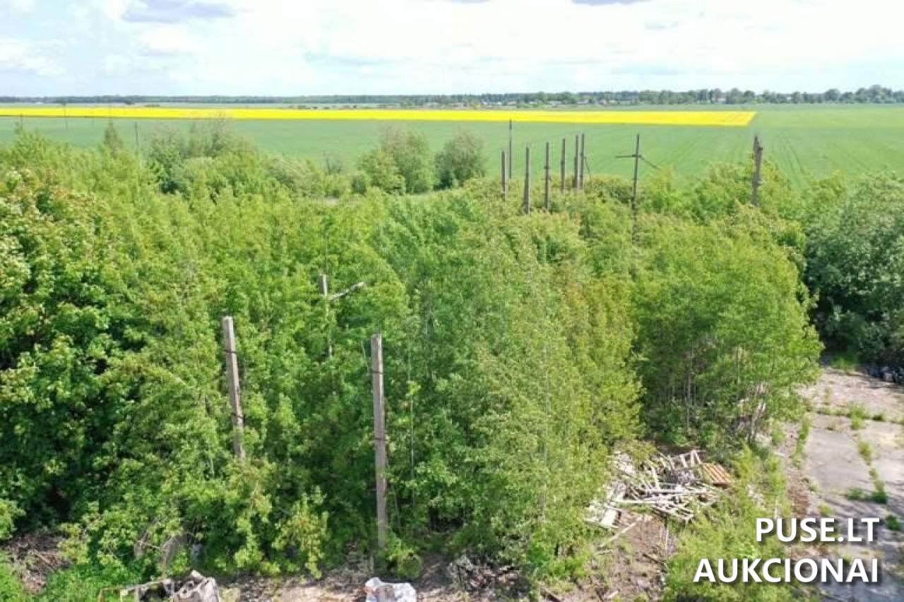 Žolės miltų agregatas Pastatai Kantminiai, 81412 Šiaulių r. sav., Lithuania 2