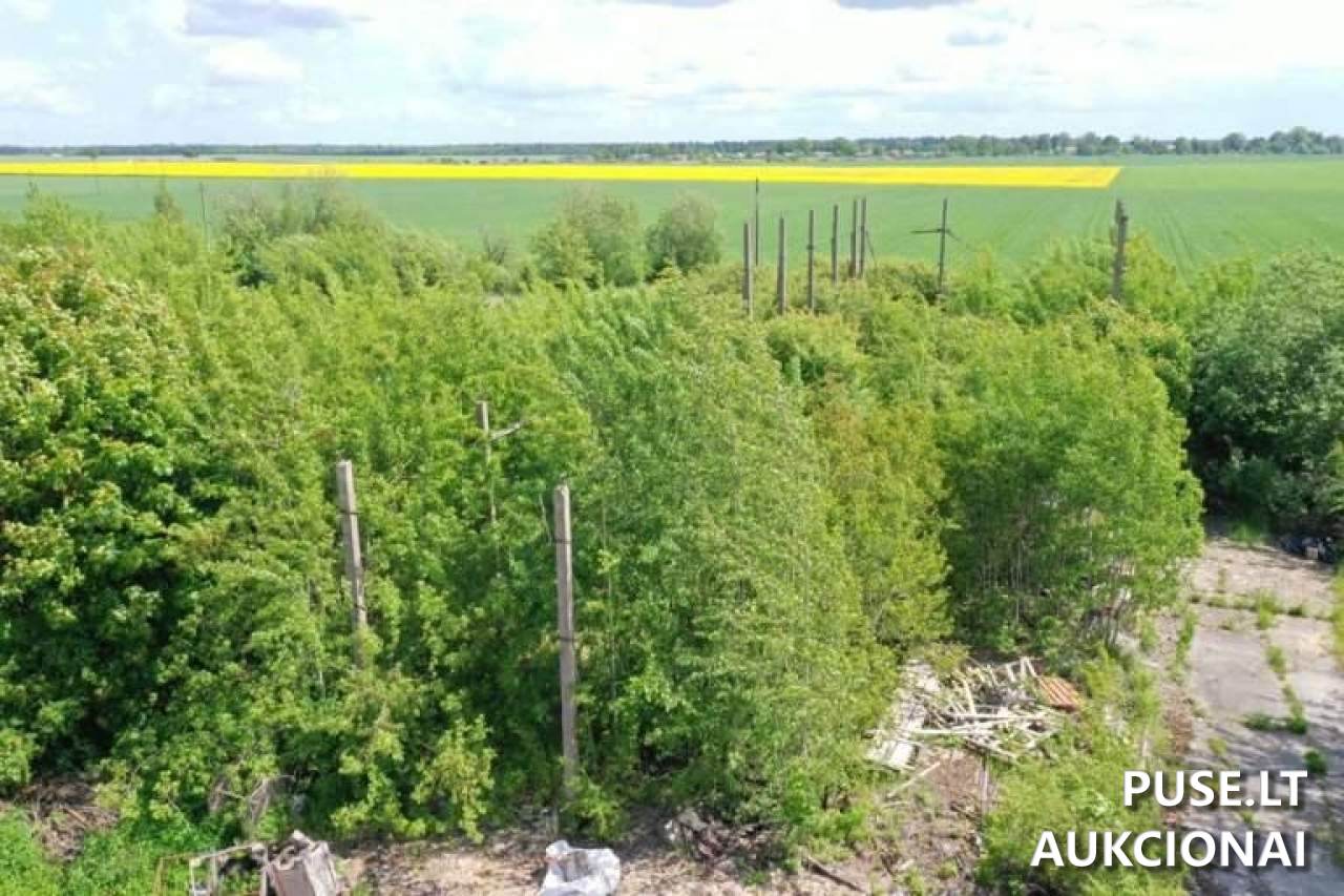 Žolės miltų agregatas Pastatai Kantminiai, 81412 Šiaulių r. sav., Lithuania 3