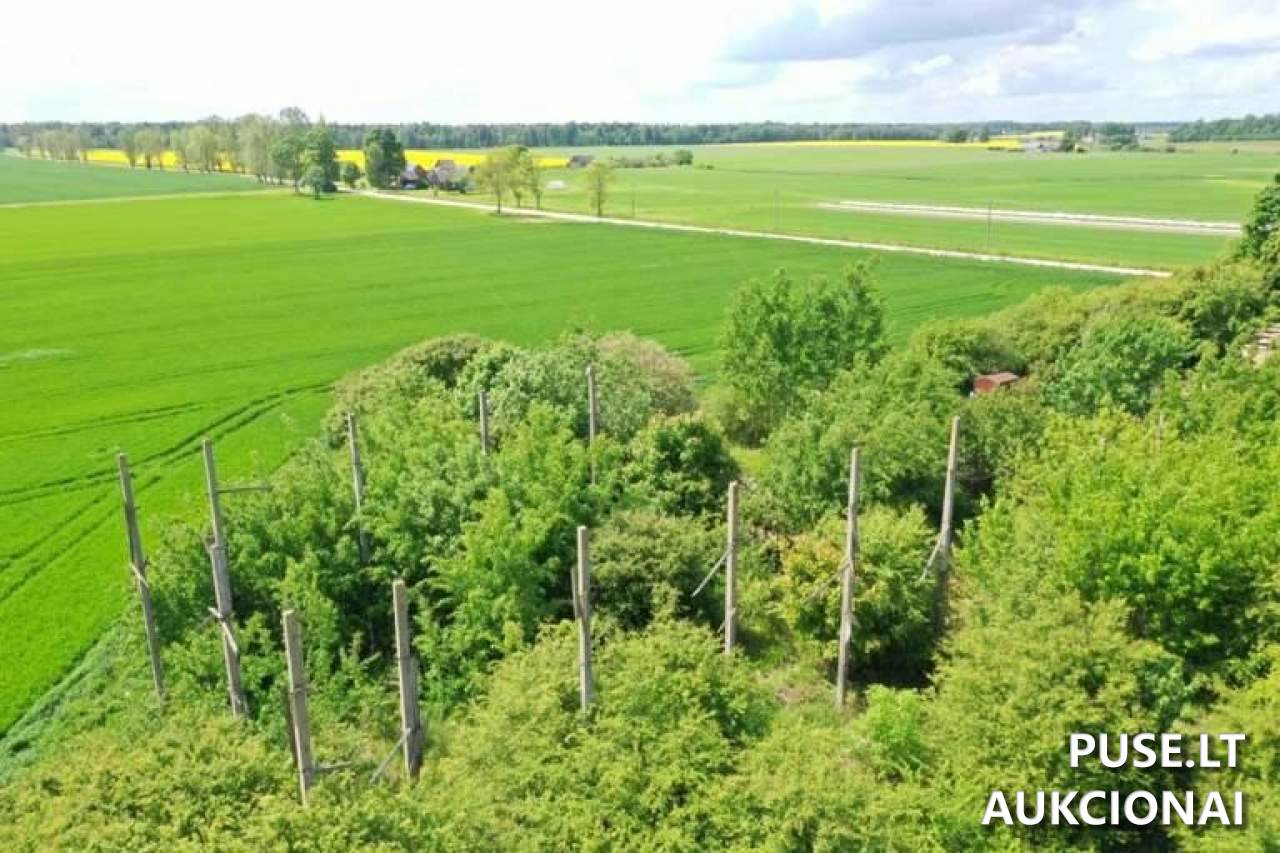 Žolės miltų agregatas Pastatai Kantminiai, 81412 Šiaulių r. sav., Lithuania 4