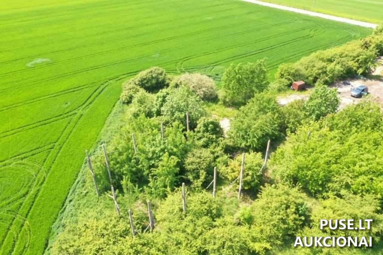 Žolės miltų agregatas Pastatai Kantminiai, 81412 Šiaulių r. sav., Lithuania 5