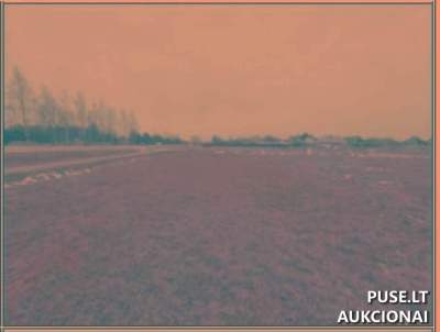 Valstybinės žemės sklypo aukcionas Marijampolės mieste, pradinė kaina 4338 EUR