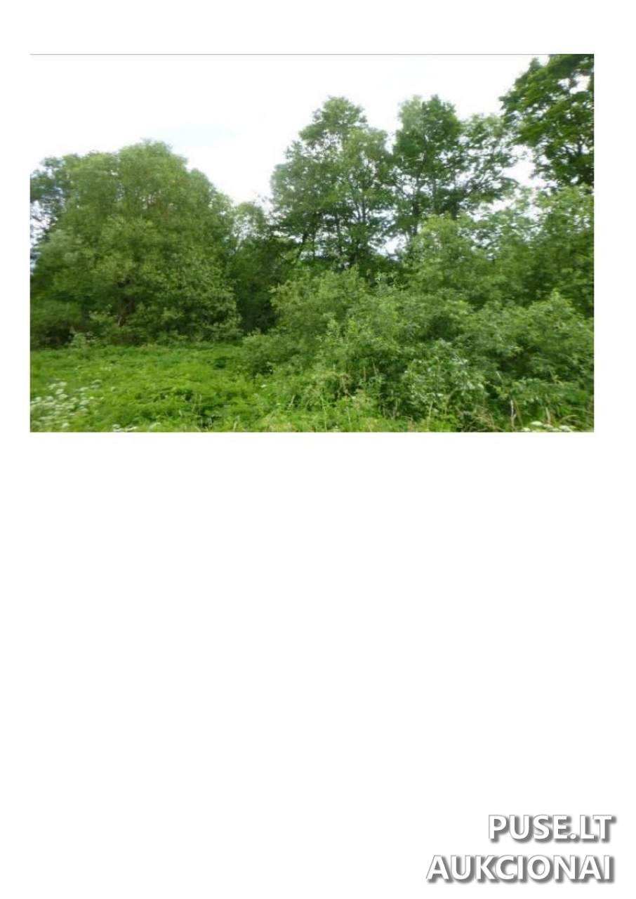 Žemės sklypas Sklypai Dūkštas, Ignalina District Municipality, Lithuania 1