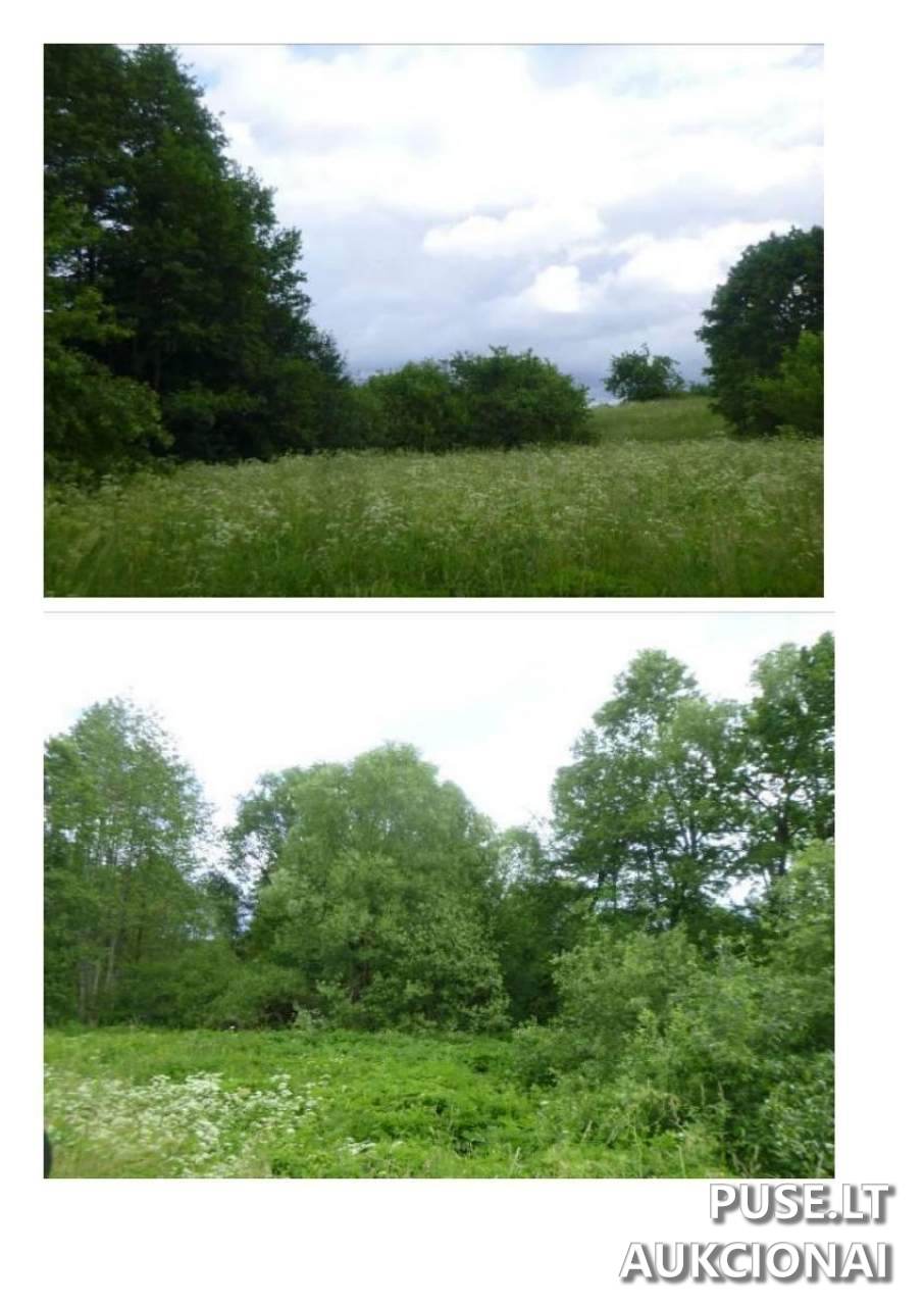 Žemės sklypas Sklypai Dūkštas, Ignalina District Municipality, Lithuania 8