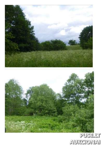 Parduodamas 2,59 ha žemės ūkio paskirties sklypas Ignalinos r. Senojo Dūkšto k. už 7200 EUR