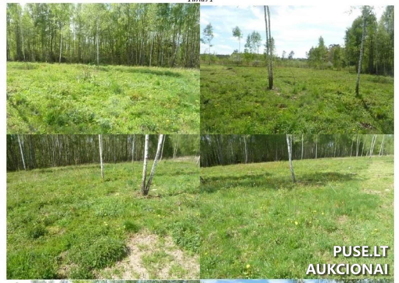 Žemės sklypas Sklypai Graikų g. 12, 19160 Širvintų r. sav., Lithuania 2
