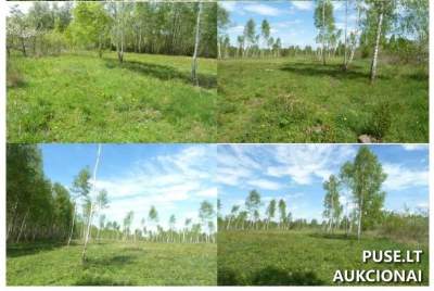 Parduodamas 0.1564 ha žemės sklypas Širvintų r. Sasnuvkoje nuo 2760 EUR