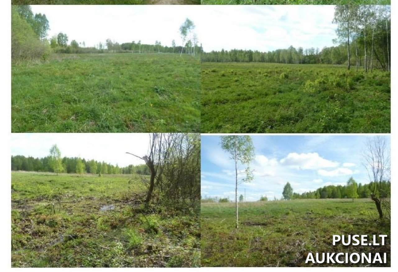 Žemės sklypas Sklypai Širvintos District Municipality, Lithuania 3
