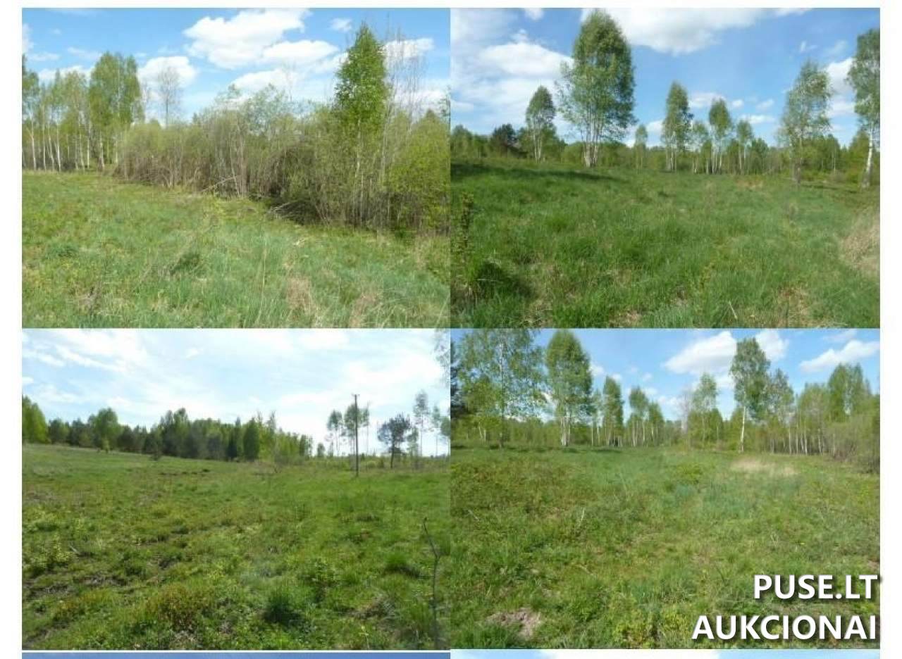 Žemės sklypas Sklypai Širvintos District Municipality, Lithuania 4