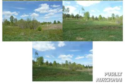 Didelis žemės sklypas Širvintų rajone 4.2079 ha, pradinė kaina 6224 EUR
