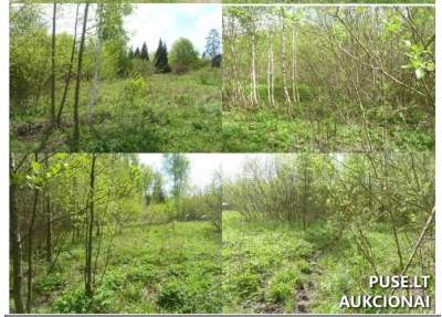 Žemės sklypas Širvintų r., Sasnuvkos vs. 0.55 ha už 1160 EUR, Antstolių varžytynės