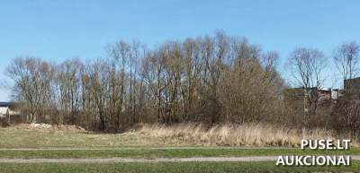 Valstybinės žemės sklypo pardavimas Radviliškio mieste, Jaunystės g. 8A, pradinė kaina 8115 EUR