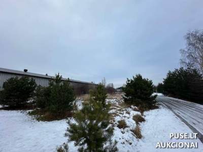 Žemės sklypo nuomos aukcionas Šiauliuose, Šiladžio g. 4, pradinė kaina 457 AZN