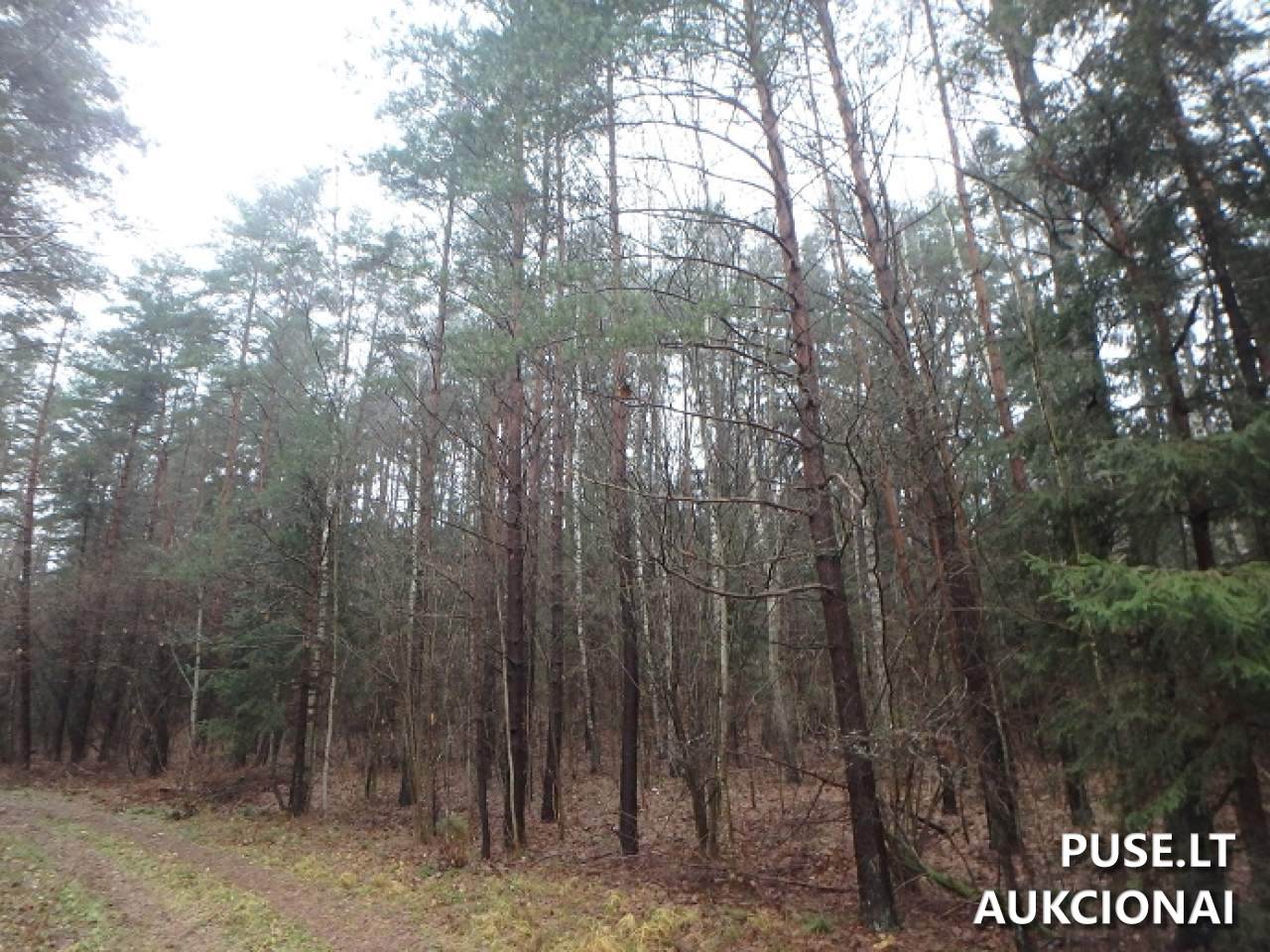 Žemės sklypas Sklypai Perloja, Varėna District Municipality, Lithuania 2