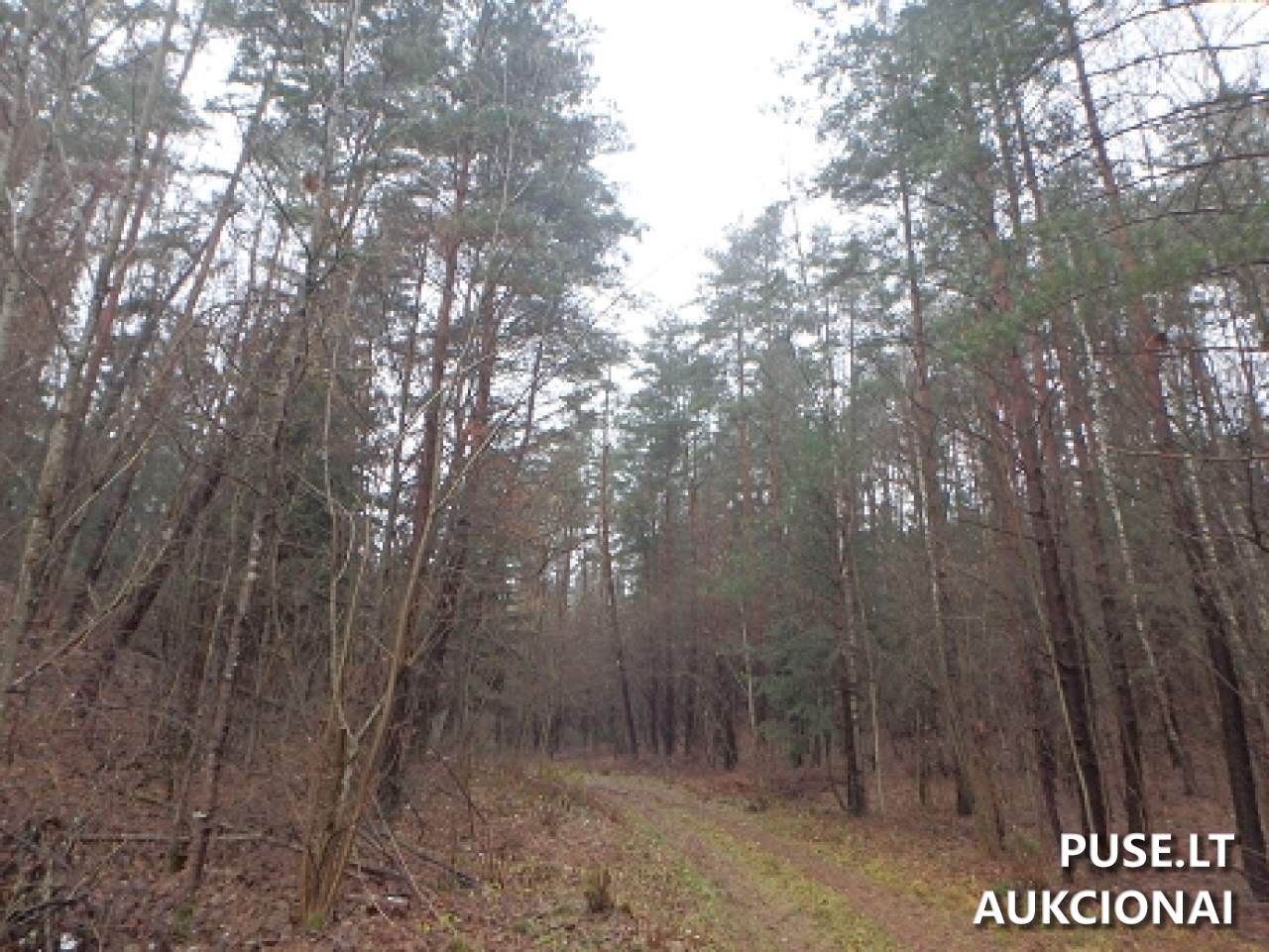 Žemės sklypas Sklypai Perloja, Varėna District Municipality, Lithuania 3
