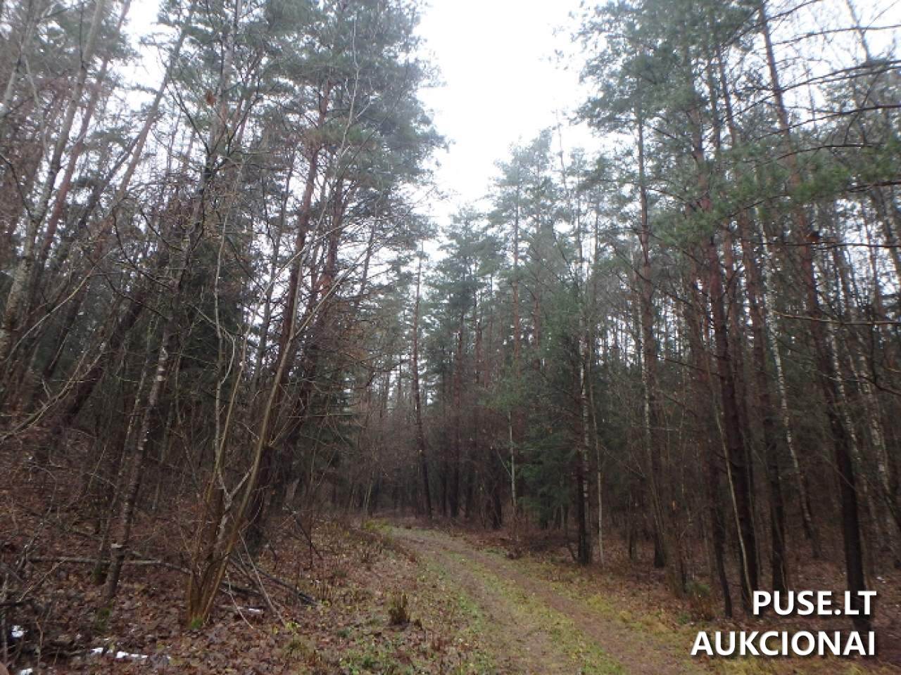 Žemės sklypas Sklypai Perloja, Varėna District Municipality, Lithuania 6