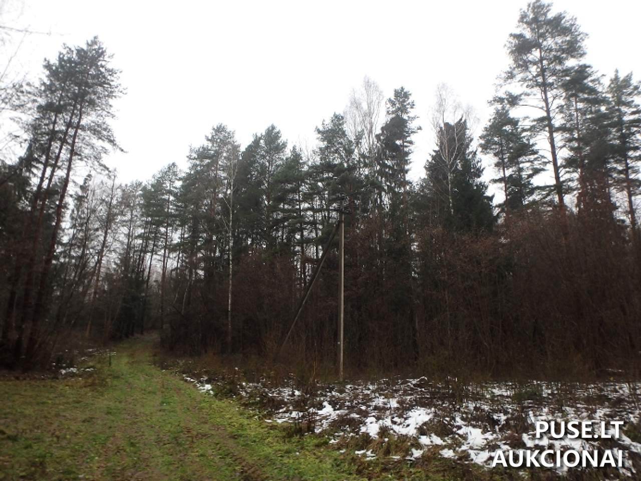 Žemės sklypas Sklypai Perloja, Varėna District Municipality, Lithuania 7