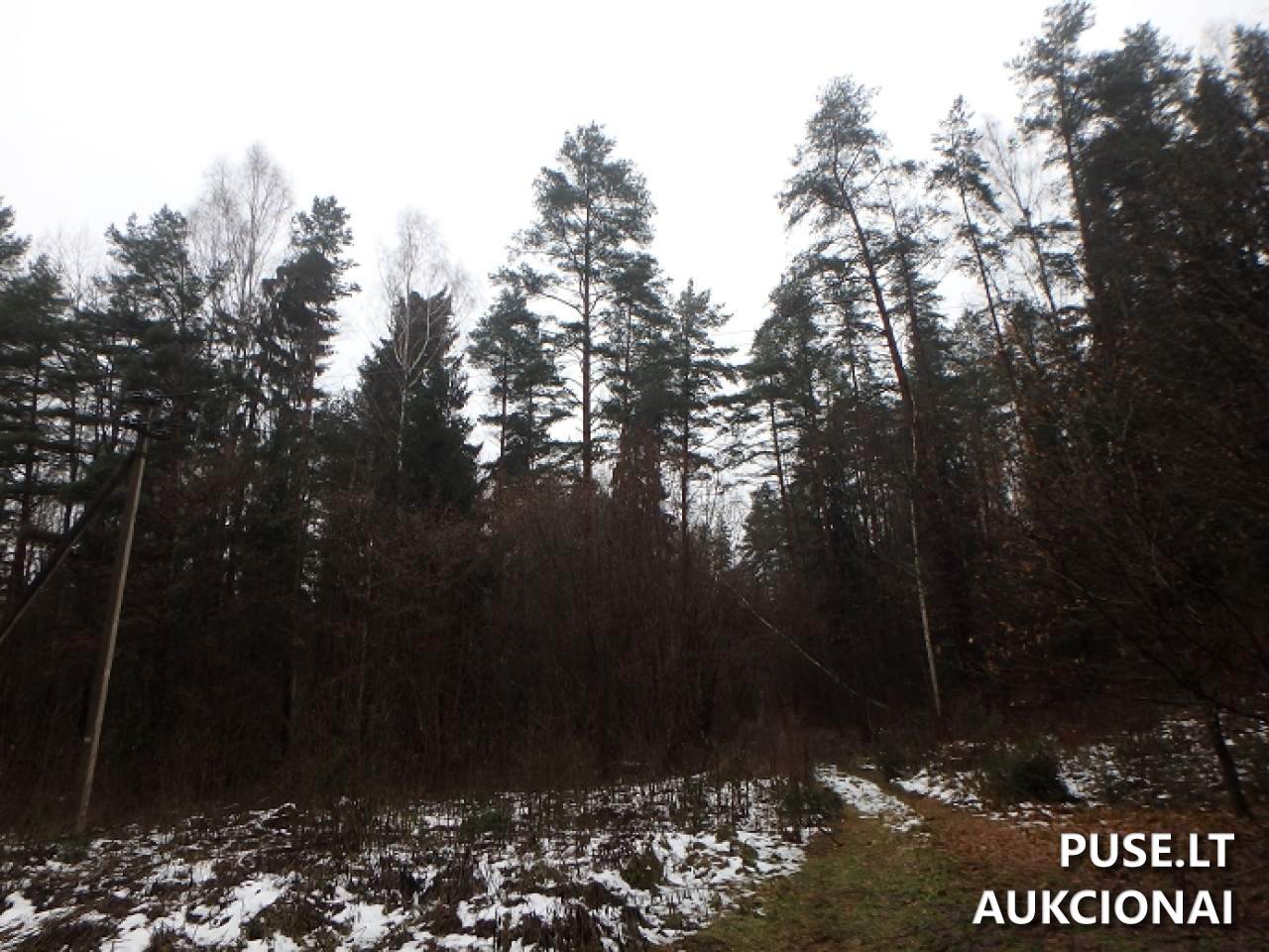 Žemės sklypas Sklypai Perloja, Varėna District Municipality, Lithuania 8
