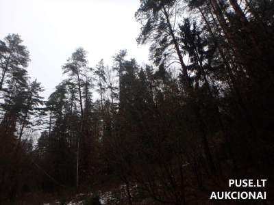 Žemės sklypo dalis Varėnos r., Perlojos k., aukcionas nuo 400 EUR