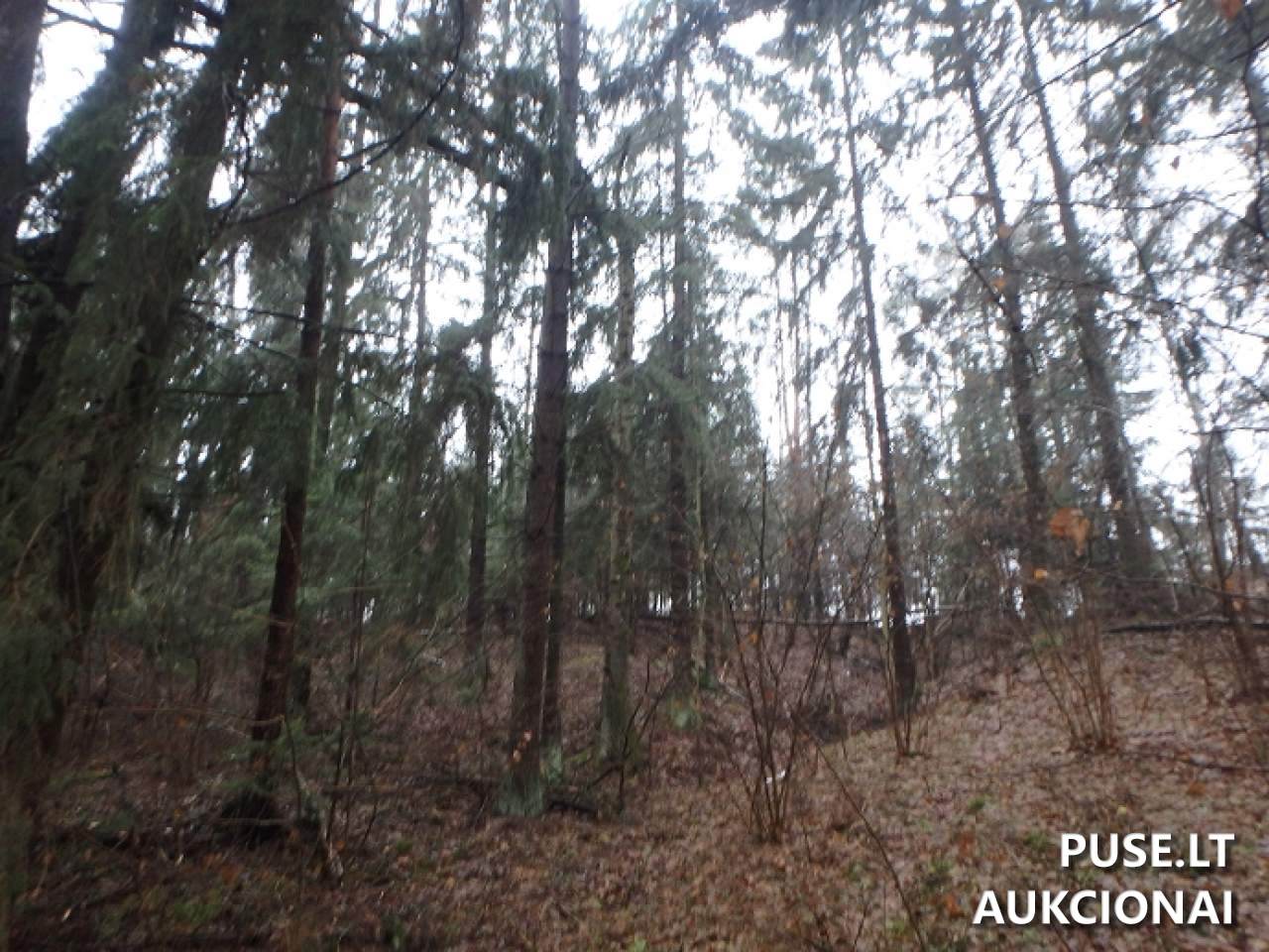 Žemės sklypas Sklypai Perloja, Varėna District Municipality, Lithuania 2