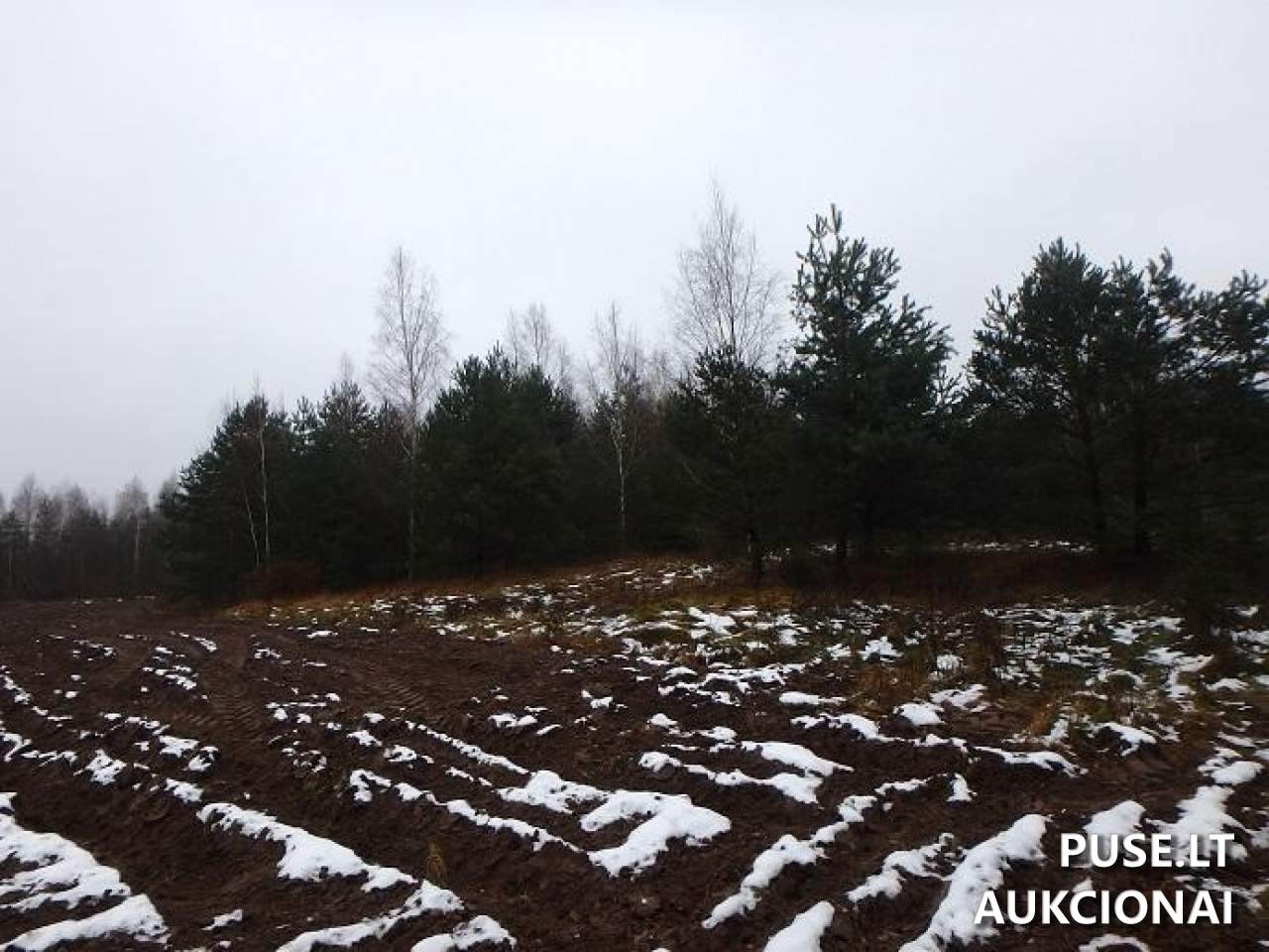 Žemės sklypas Sklypai Perloja, Varėna District Municipality, Lithuania 6