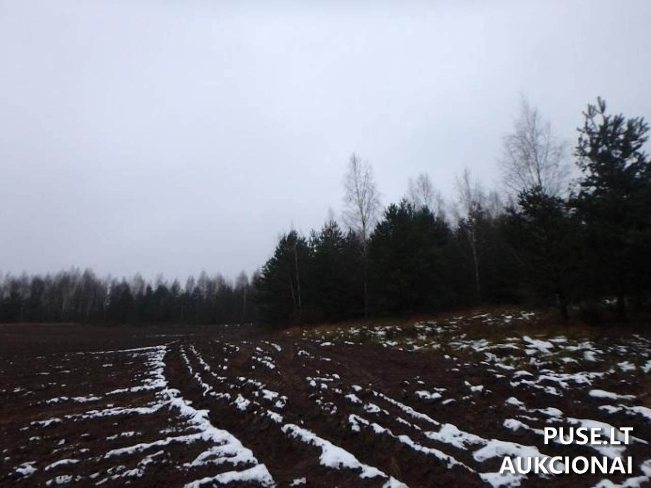 Žemės sklypas Sklypai Perloja, Varėna District Municipality, Lithuania 7