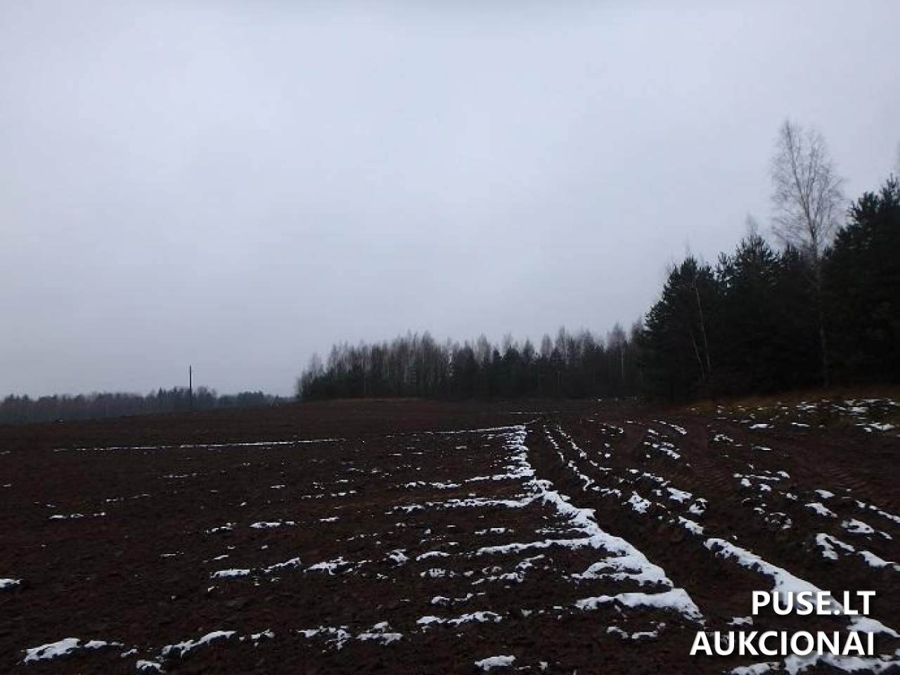 Žemės sklypas Sklypai Perloja, Varėna District Municipality, Lithuania 8