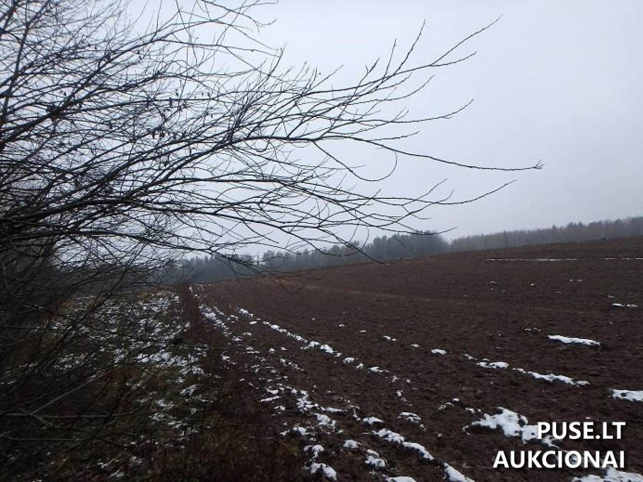 Žemės sklypas Sklypai Perloja, Varėna District Municipality, Lithuania 10