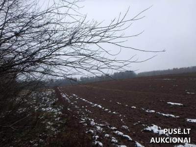 Žemės sklypo 1/5 dalies pardavimo aukcionas Varėnos r. sav., Perlojos k., pradinė kaina 640 EUR