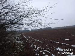 Sklypai - Žemės sklypas