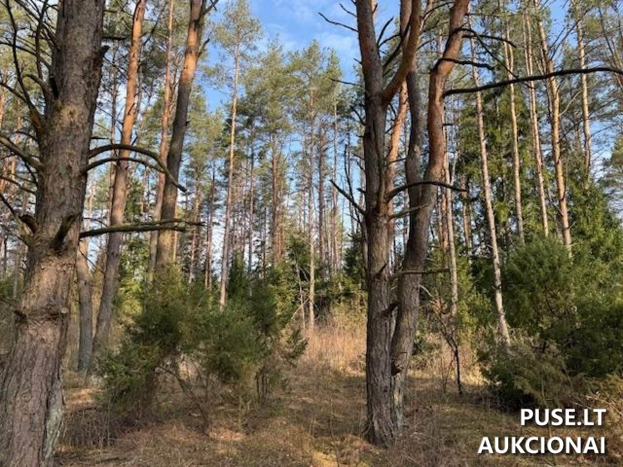 Žemės sklypas Sklypai Strakiškės, Trakų r. sav., Lithuania 5