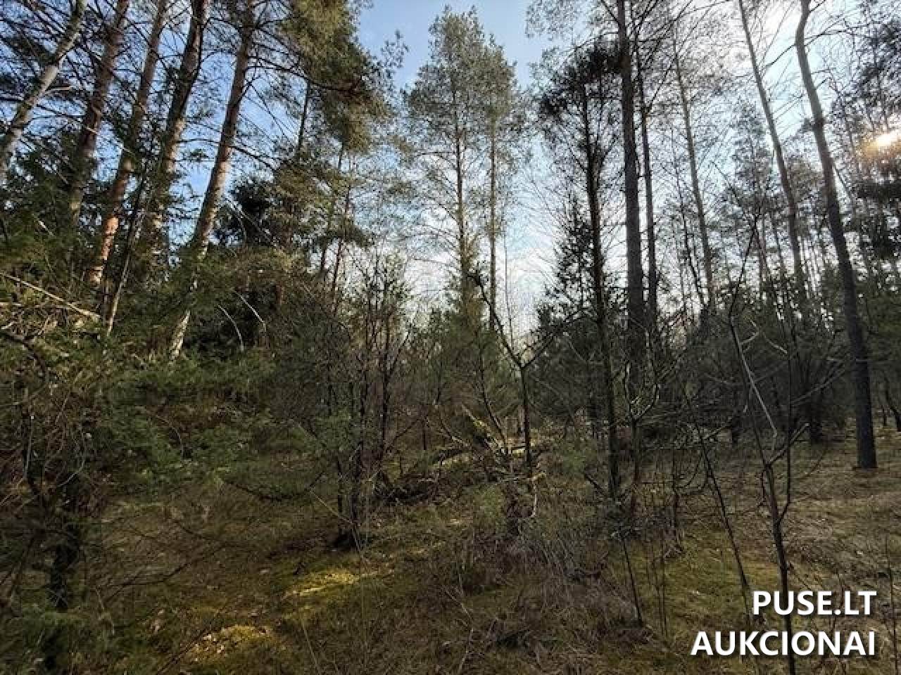 Žemės sklypas Sklypai Strakiškės, Trakų r. sav., Lithuania 6