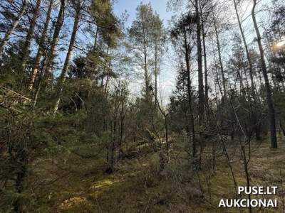 Miškų ūkio žemės sklypas Trakų rajone, Strakiškių kaime, 3.32 ha, pradinė kaina 18160 EUR