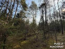 Sklypai - Žemės sklypas