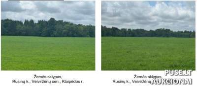 Parduodamas 1/2 žemės ūkio sklypo dalis Klaipėdos r. sav., Rusinų k. už 10000 EUR