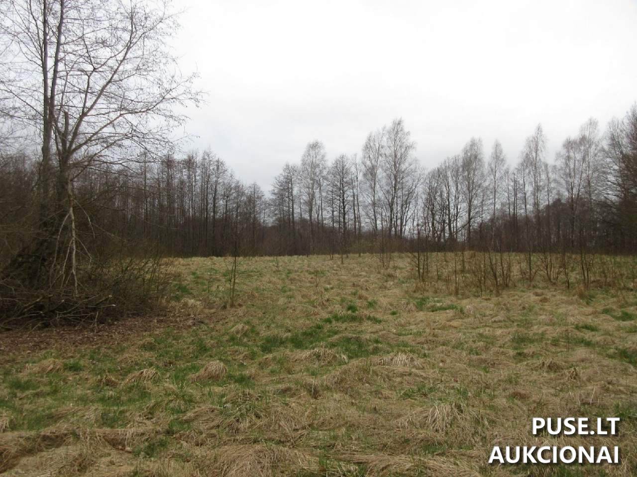 Žemės sklypas Sklypai Plungė District Municipality, Lithuania 3