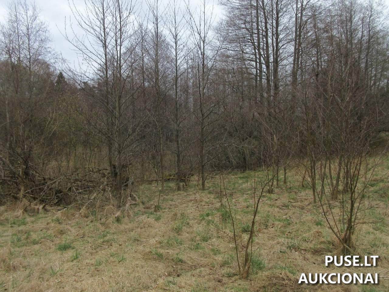 Žemės sklypas Sklypai Plungė District Municipality, Lithuania 6