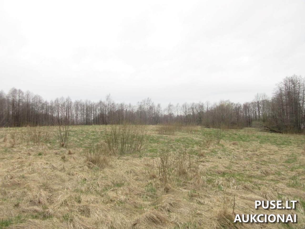 Žemės sklypas Sklypai Plungė District Municipality, Lithuania 8