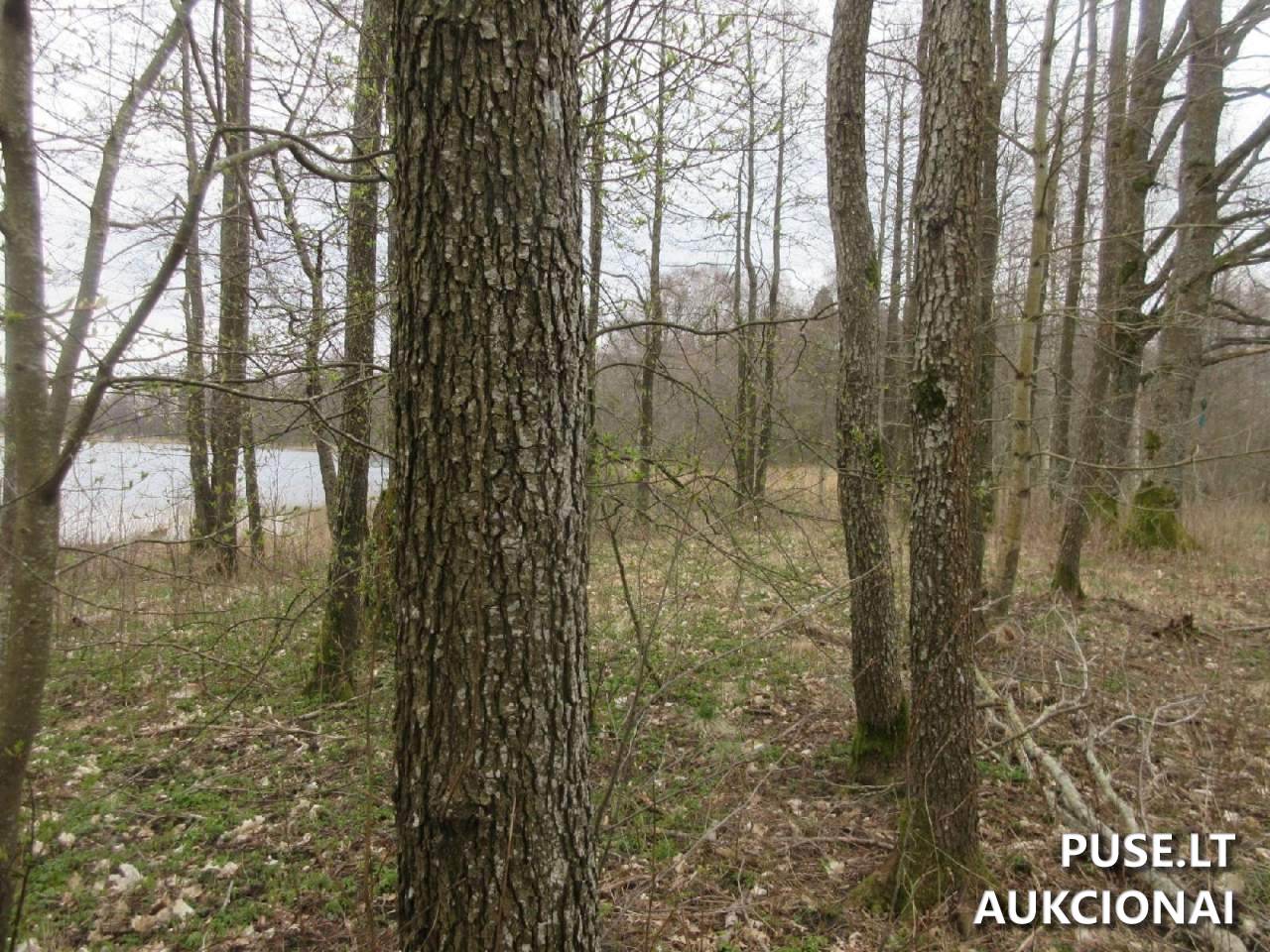 Žemės sklypas Sklypai Plungė District Municipality, Lithuania 11