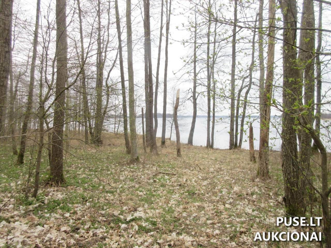 Žemės sklypas Sklypai Plungė District Municipality, Lithuania 12