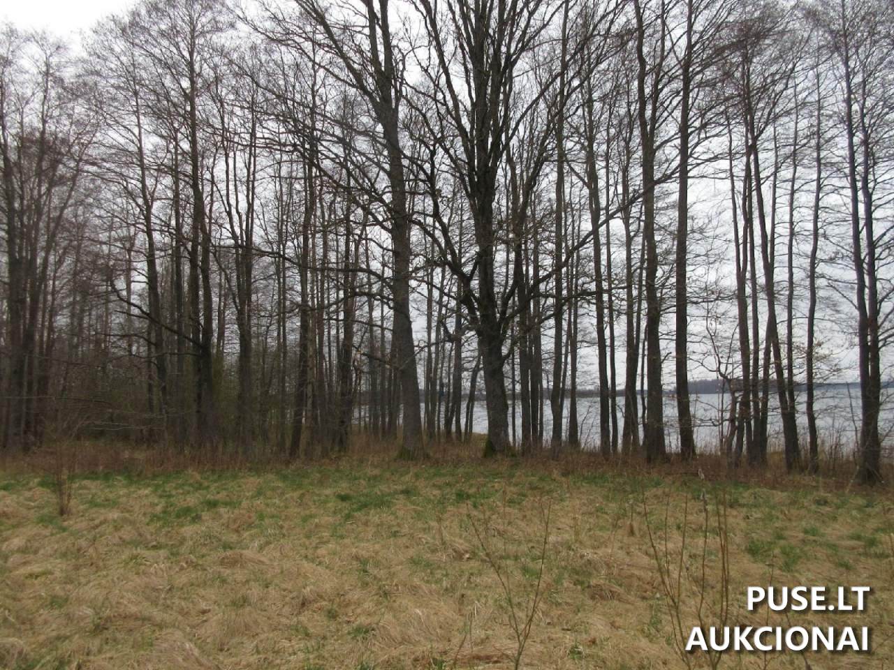 Žemės sklypas Sklypai Plungė District Municipality, Lithuania 13